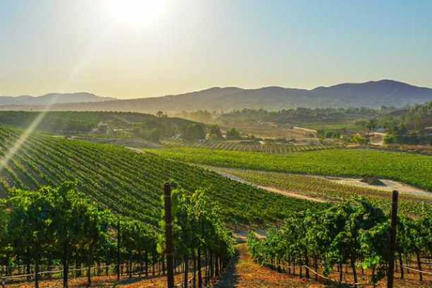 Temecula