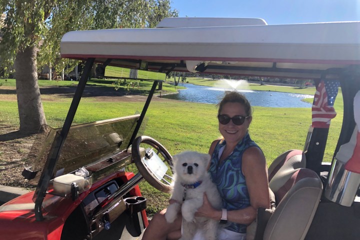a person sitting on a bench with a dog