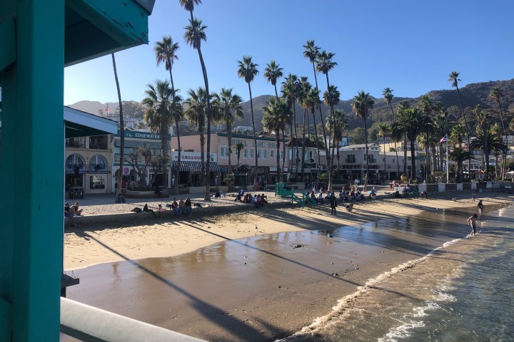a beach with palm trees and a building
